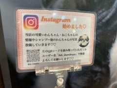 空港ドッグセンター　伊丹昆陽店