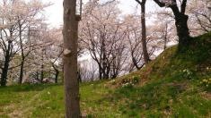 高水寺城跡