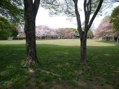 花崎北公園