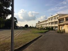 椎名小学校