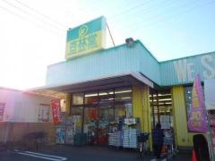 杏林堂ドラッグストア上島店