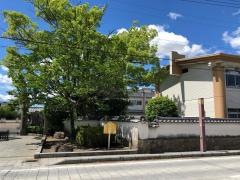 大樹寺小学校