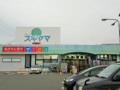 ドラッグスギヤマ大治店