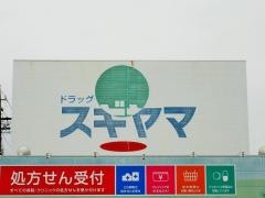ドラッグスギヤマ大治店