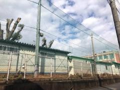 瑞穂小学校