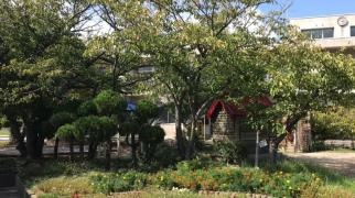 清水幼稚園