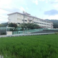 東朽網小学校