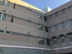 ピネル記念病院
