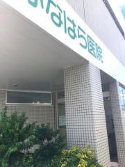 かなはら医院