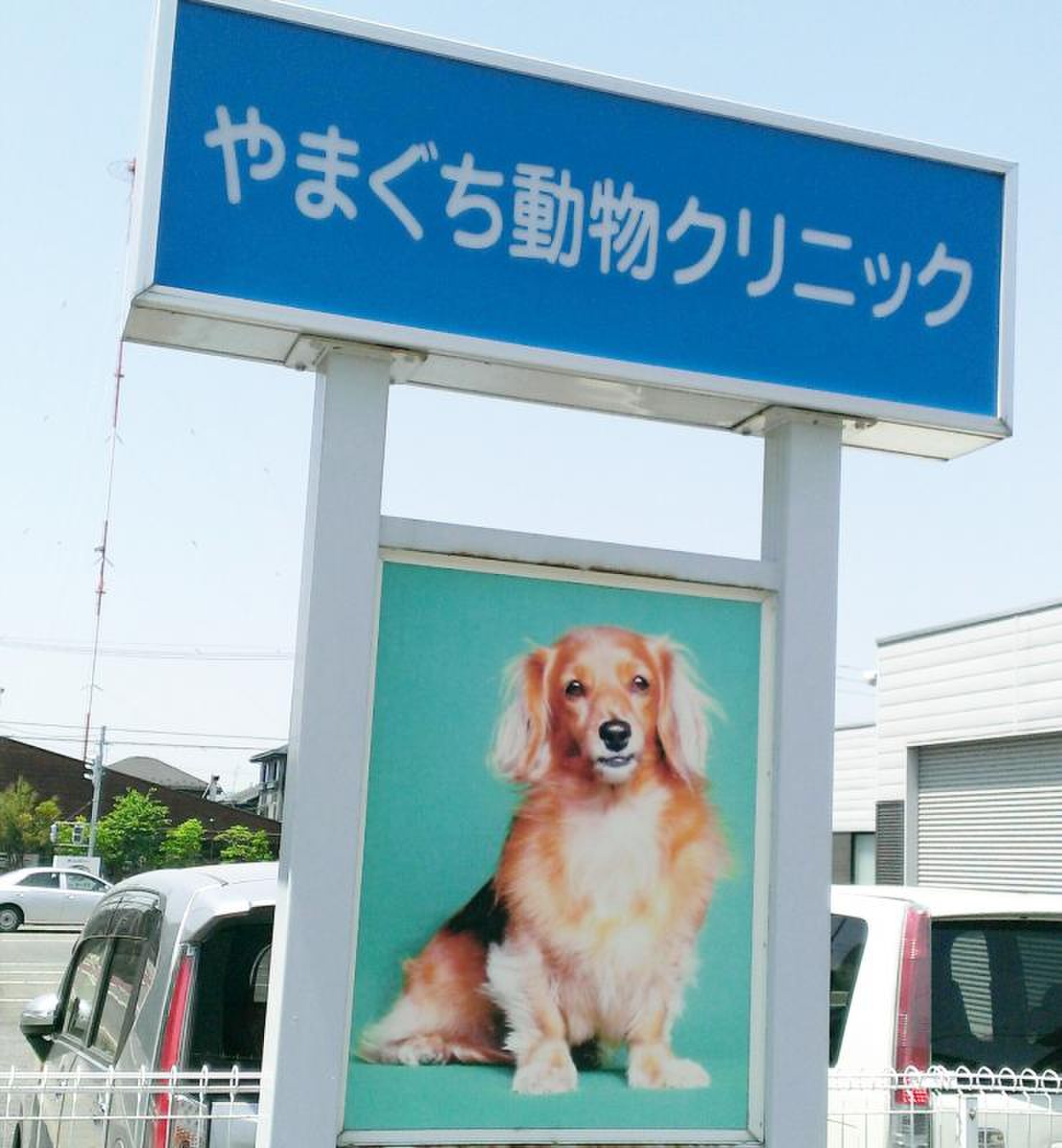やまぐち 動物 クリニック