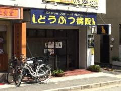 シートン動物病院