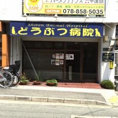シートン動物病院