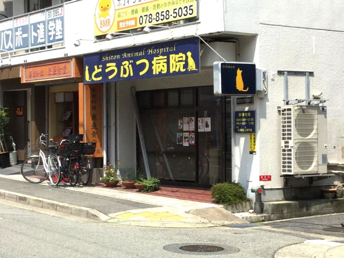 シートン動物病院