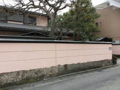 白ぎく