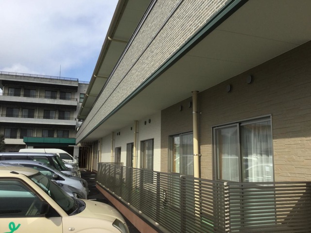 グリーンピース