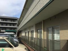 グリーンピース