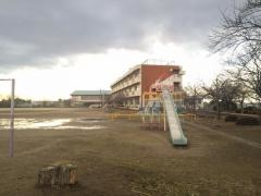 権現堂川小学校