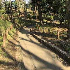 北沢川緑道