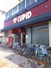 キューピット下本町店