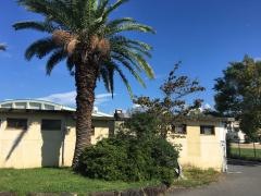 泉佐野市立日根野中学校