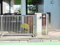 ナーサリーライムスクール