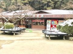 照星館