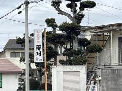 喜八