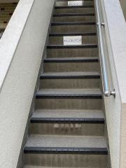 キタミヒフ科