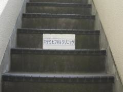 キタミヒフ科