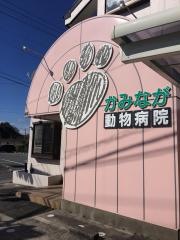 かみなが動物病院