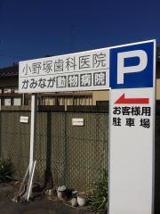 かみなが動物病院