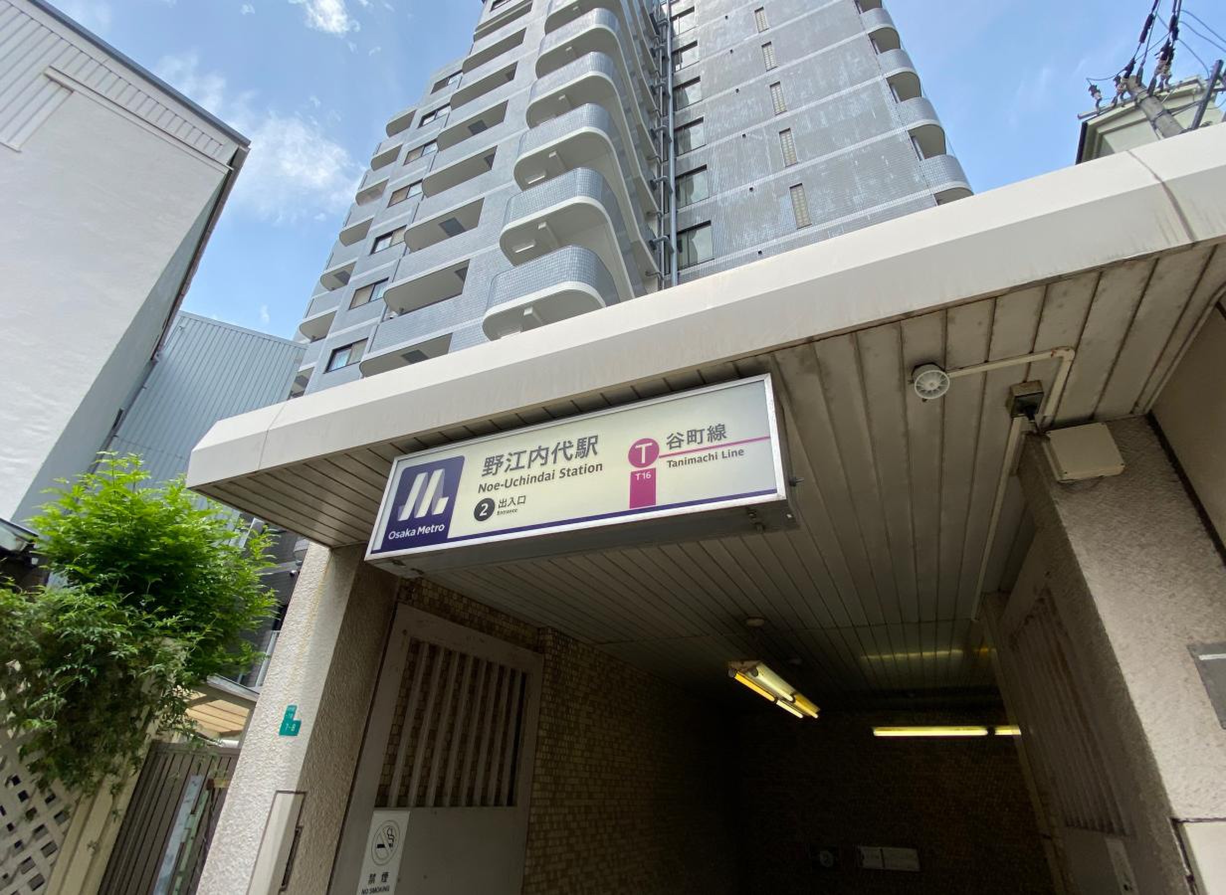 野江 内 代