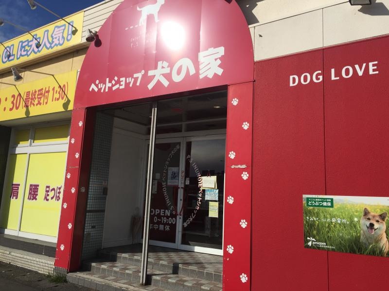 ペットショップ犬の家岐南店