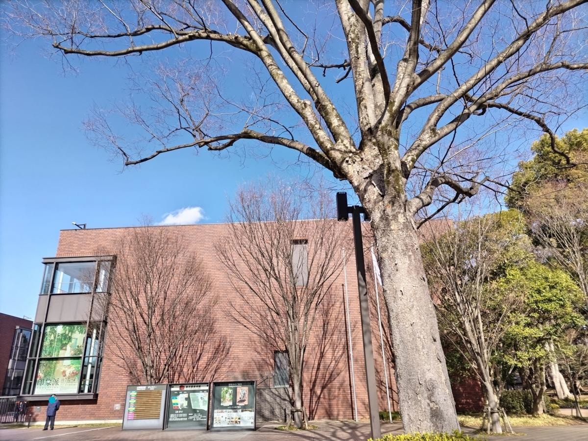 東京都美術館
