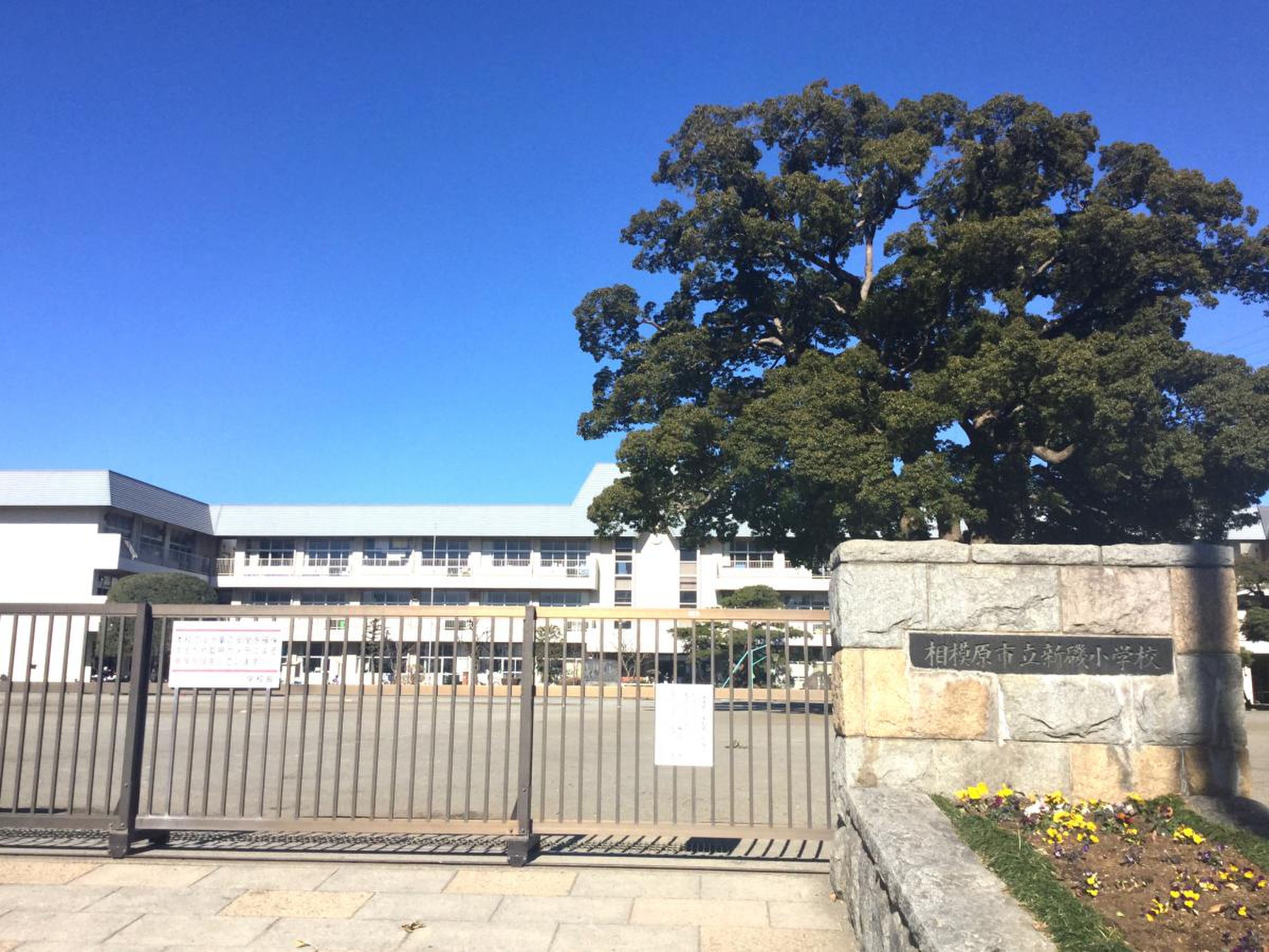 新 磯 小学校