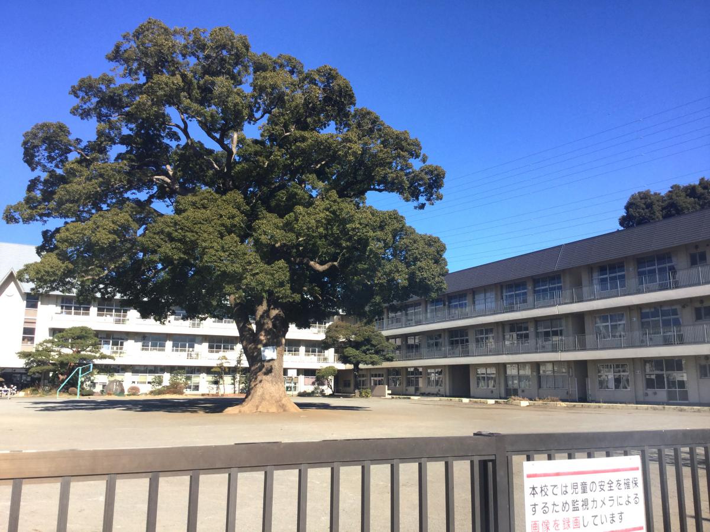 新 磯 小学校