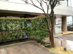 市吉外科胃腸科クリニック