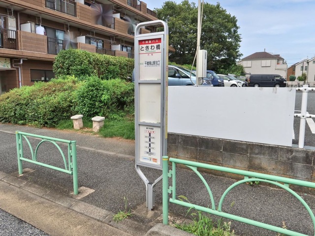 投稿写真6