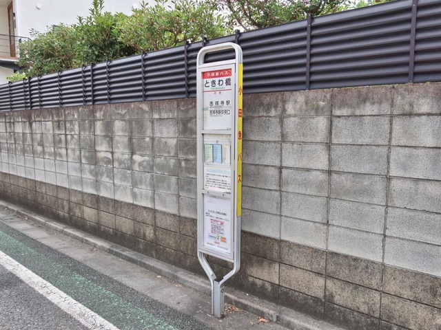 投稿写真1