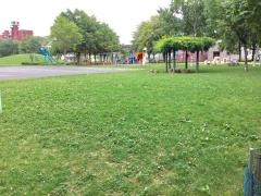 元村公園