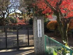 上野台小学校
