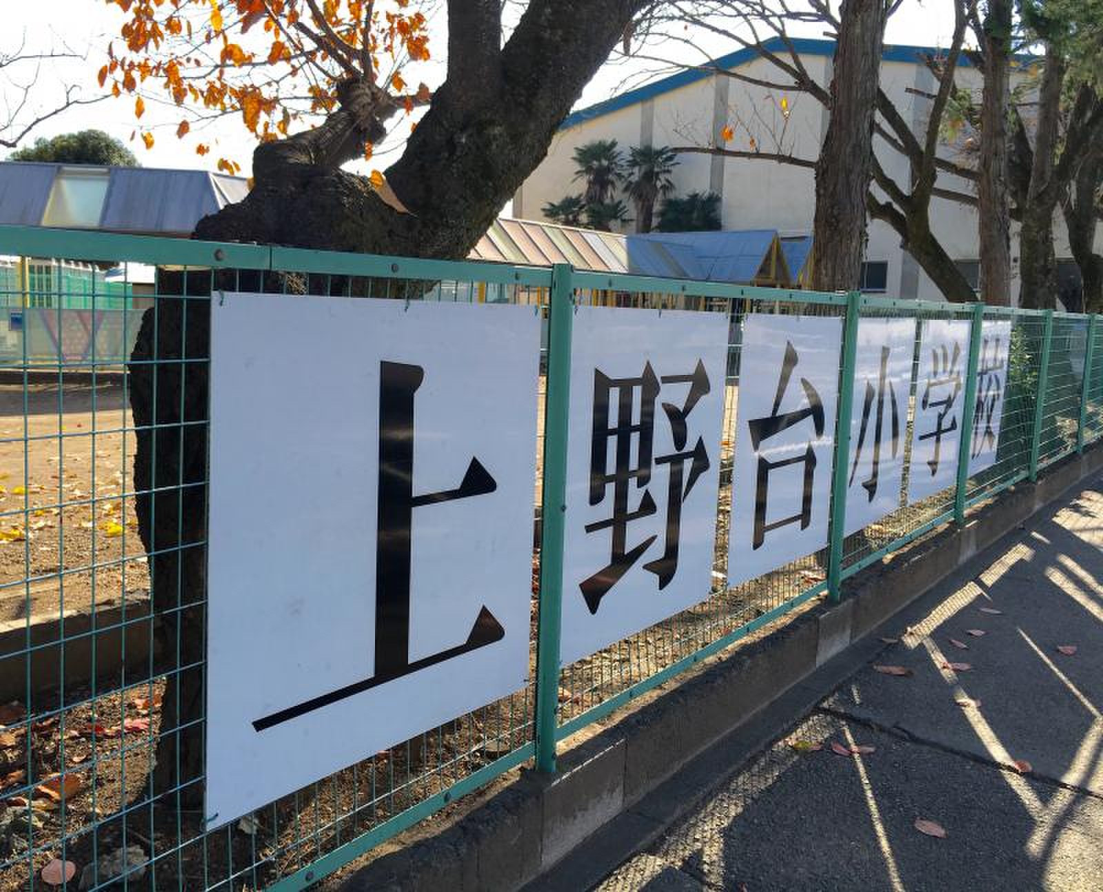 ふじみ野 市立 上野台 小学校