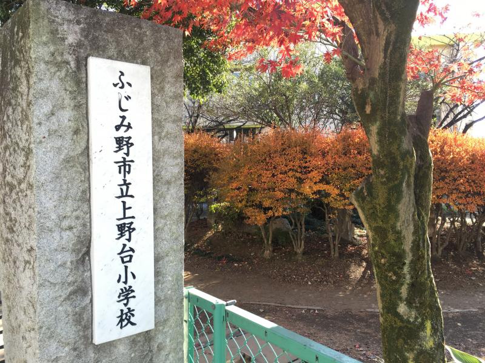 ふじみ野 市立 上野台 小学校