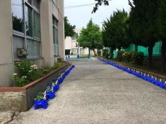 中富小学校