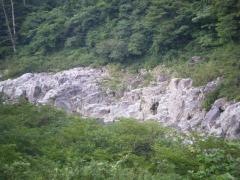 中山七里