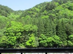 中山七里