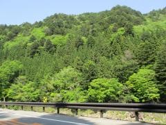 中山七里