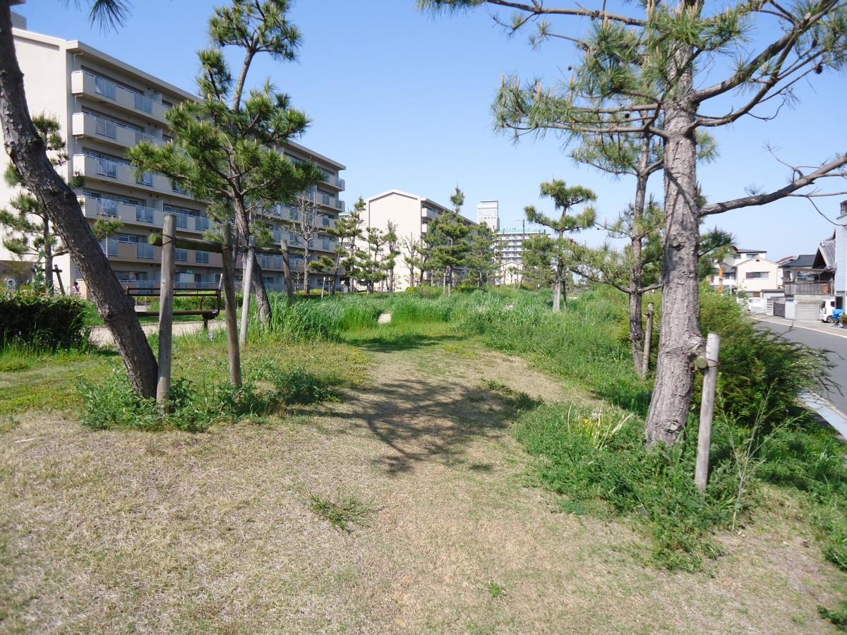 りんくう嘉祥寺南緑地