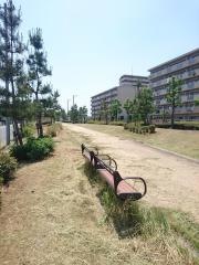 りんくう嘉祥寺南緑地