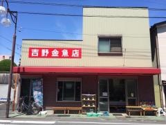 吉野金魚店